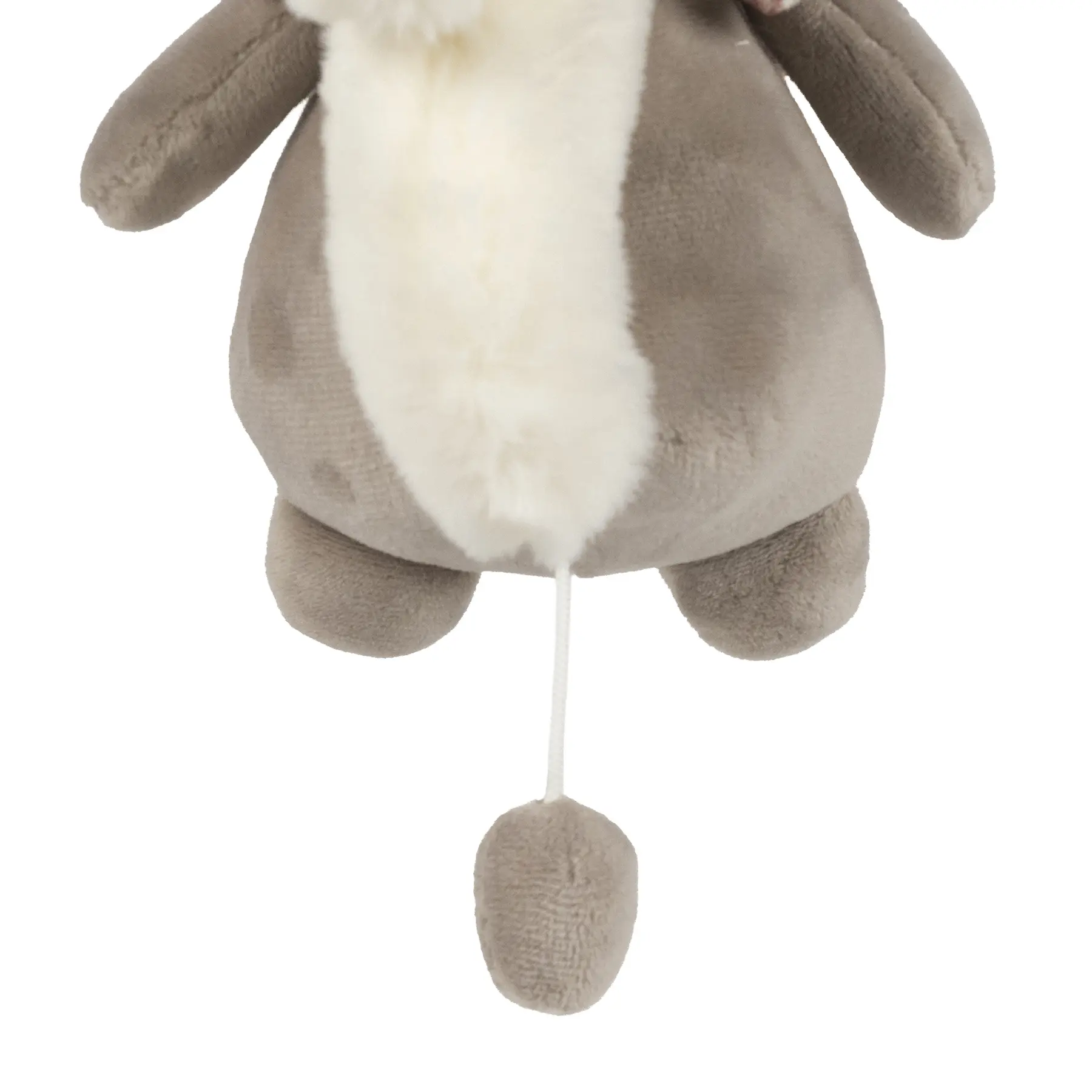 Musical Ardilla Cherry Flores - Imagen 3